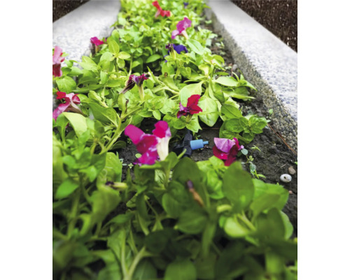 Blomsterbädd med bevattningssystem för växter