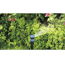 Trädgårdsspridare vattnar växter