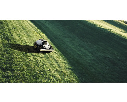 Robotgräsklippare i drift på en gräsmatta