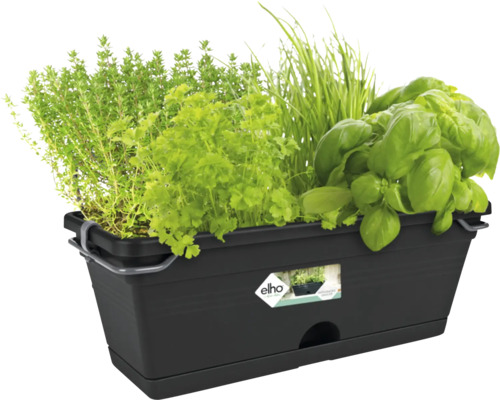 Svart blomlåda med olika örter