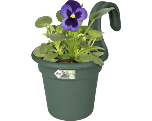 Hängande kruka med violblomma och Elho Logo