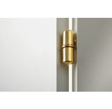 Mässingsfärgat dörrband på en dörr