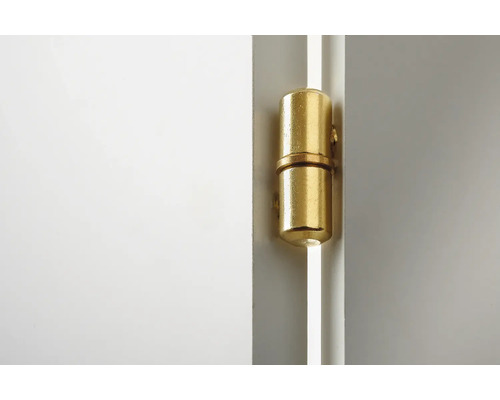 Mässingsfärgat dörrband på en dörr