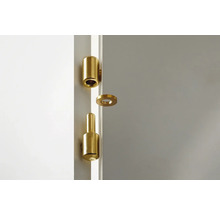 Mässingsfärgad dörrgångjärn för montering på en dörr