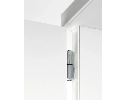 Dörr med metallgångjärn