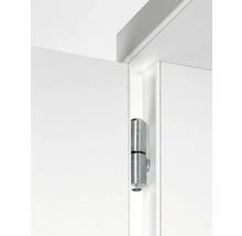 Dörr med metallgångjärn