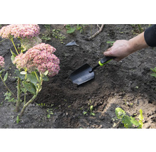 Trädgårdsscen med hand som sticker en planteringsspade i marken