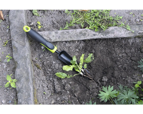 Trädgårdsscen med ogräsjärn för att ta bort ogräs