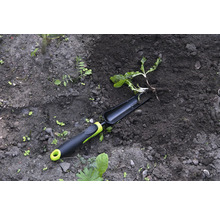 Trädgårdsredskap och växt i trädgårdsjord