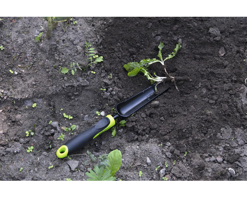 Trädgårdsredskap och växt i trädgårdsjord