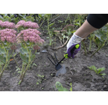 En person arbetar med en trädgårdshacka i en rabatt med kärleksört.
