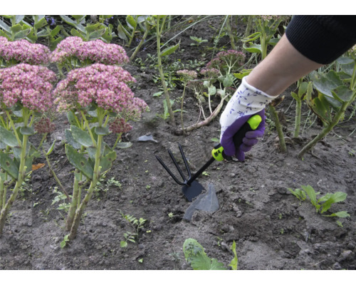 En person arbetar med en trädgårdshacka i en rabatt med kärleksört.