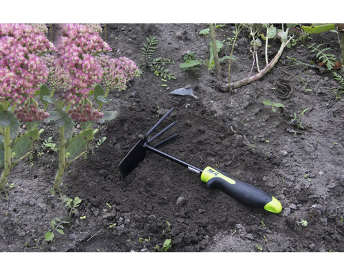 Trädgårdsredskap med kratta och hacka i rabatten bredvid en växt