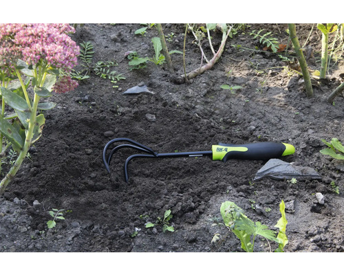 Trädgårdskratta i jorden bredvid en blomma