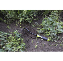 Trädgårdsklo i rabatten bland växterna