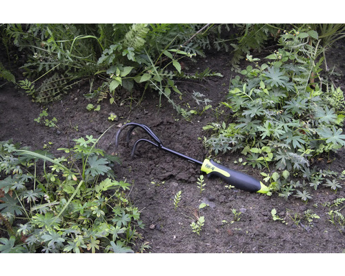 Trädgårdsklo i rabatten bland växterna