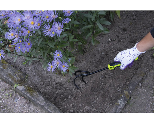 Trädgårdsmästare luckrar upp jorden med en kultivator bredvid lila blommor.