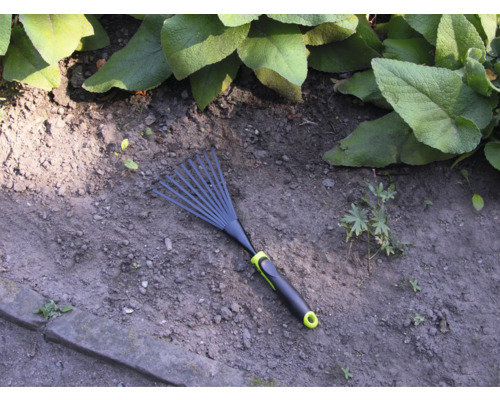 Trädgårdsräfsa på trädgårdsjord med växter