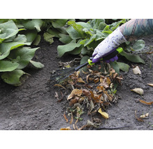 En person med trädgårdshandskar använder en lövräfsa för att ta bort löv.