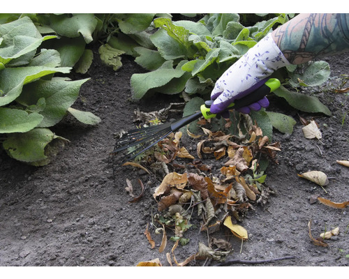 En person med trädgårdshandskar använder en lövräfsa för att ta bort löv.