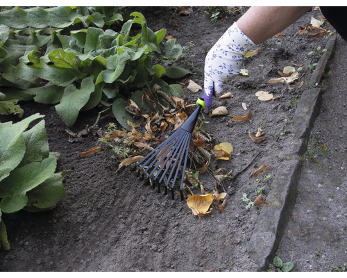 En person räfsar löv med en lövräfsa i trädgården.