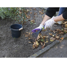 Trädgårdsscen med lövräfsa, trädgårdshandskar och hink för att samla löv