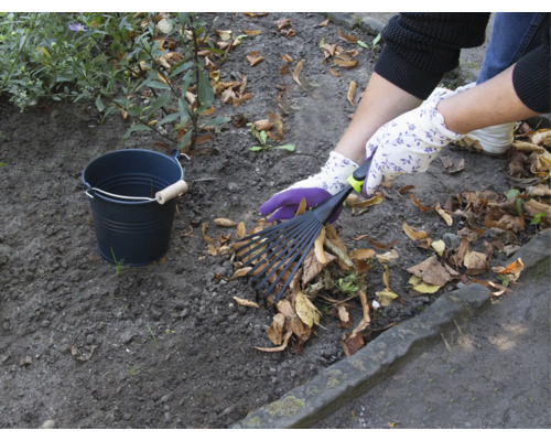 Trädgårdsscen med lövräfsa, trädgårdshandskar och hink för att samla löv
