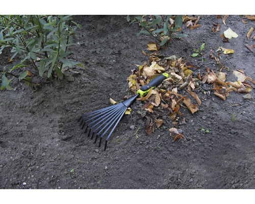 Trädgårdsräfsa för att samla löv på marken.