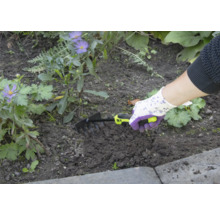 Person använder en liten kratta för trädgårdsarbete