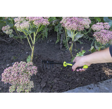 En hand håller en kratta för trädgårdsarbete bredvid växter.