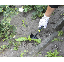 Trädgårdsbild med hand, trädgårdshandske och ogräsjärn i bruk.