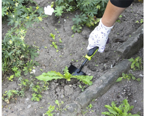 Trädgårdsbild med hand, trädgårdshandske och ogräsjärn i bruk.