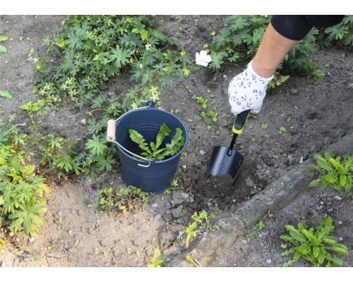Person tar bort ogräs med en spade från en trädgård, ogräs samlas i en hink