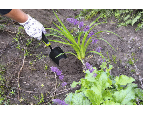 En person planterar en växt i jorden med en handspade.