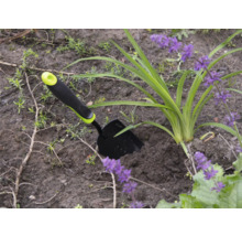 Trädgårdsscen med en liten trädgårdsspade bredvid en växt med lila blommor.