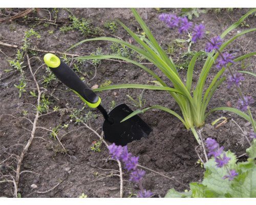 Trädgårdsscen med en liten trädgårdsspade bredvid en växt med lila blommor.