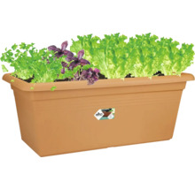 Elho balkonglåda med örter och sallad, rektangulär, plast, för balkong och trädgård.