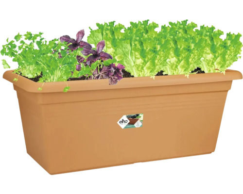Elho balkonglåda med örter och sallad, rektangulär, plast, för balkong och trädgård.