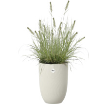 Hög vit blomkruka med räfflad struktur från Elho, planterad med ett prydnadsgräs. Elho Logo.