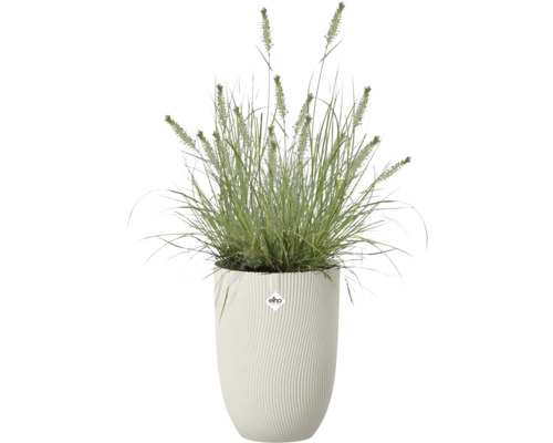 Hög vit blomkruka med räfflad struktur från Elho, planterad med ett prydnadsgräs. Elho Logo.