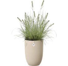 Prydnadsgräs i en hög Elho-blomkruka med en vågig vertikal struktur. Elho Logo.