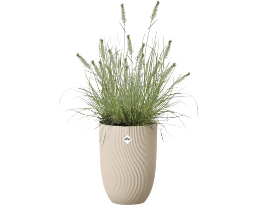 Prydnadsgräs i en hög Elho-blomkruka med en vågig vertikal struktur. Elho Logo.