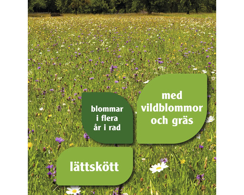 En blomstrande äng med vildblommor och gräs som blommar i flera år och är lättskött.