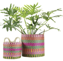 Två färgstarka randiga flätade korgar i naturmaterial med en Philodendron krukväxt.