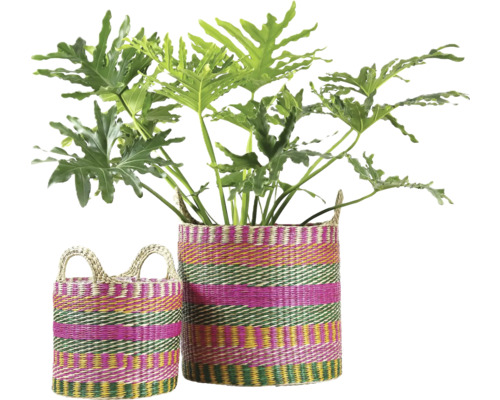 Två färgstarka randiga flätade korgar i naturmaterial med en Philodendron krukväxt.