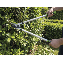En person klipper en häck med en grensax i trädgården. Grensaxen har långa skaft och ergonomiska handtag.