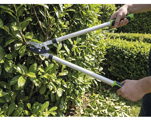 En person klipper en häck med en grensax i trädgården. Grensaxen har långa skaft och ergonomiska handtag.