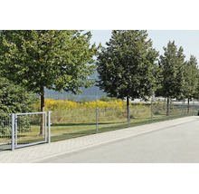 Galvaniserat dubbelpanelstängsel med matchande grind längs en stenlagd väg framför en trädrad.