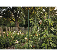 Grön växtpinne av plast som klätterstöd för tomater och klängväxter i en blommande trädgård med trästaket.