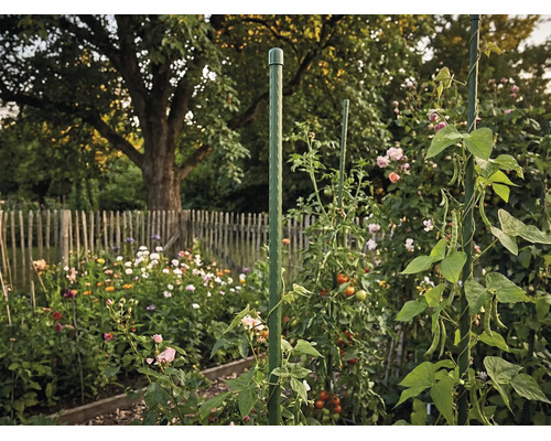 Grön växtpinne av plast som klätterstöd för tomater och klängväxter i en blommande trädgård med trästaket.